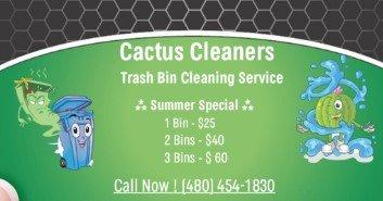 Cactus Cleaners