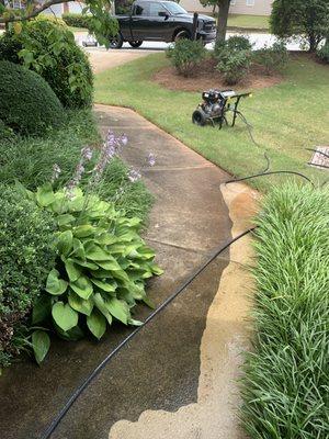 Driveway, walkway cleaning