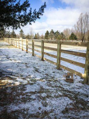 4 Rail Ranch Rail w/wire mesh