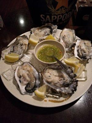 Half dozen chucked Oysters