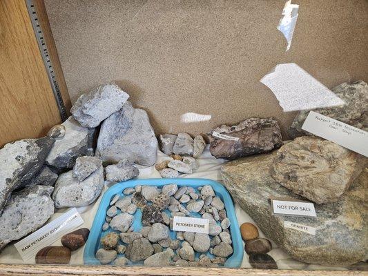 Display of Petoskey stones