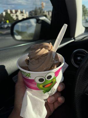 sweetFrog Premium Frozen Yogurt