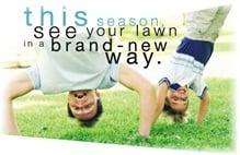 Lawn Care and Irrigation in Brevard