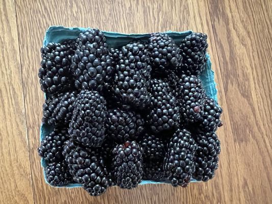 these blackberries are on 'roids! but they are sooo good!