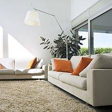 LA Carpet Rug & Upholstery Cleaning