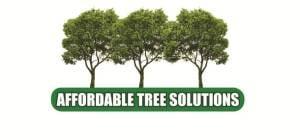 When you have a tree pronlem weve got the solution, with quality work at affordable pricing.