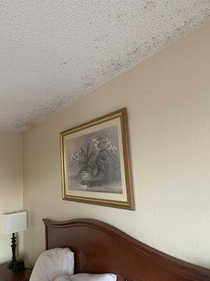 Black mold on the roof over our bed