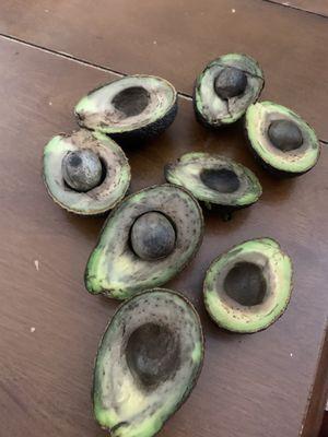 Rotten avocados