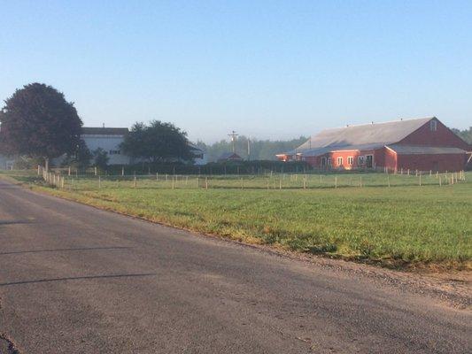 Cedar Hedge Farm