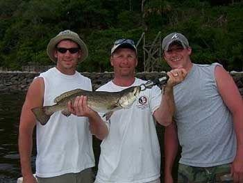 Fall GATOR speckled sea trout