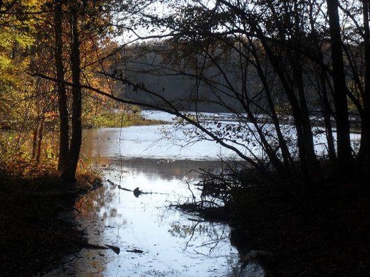 Lake Reidsville from the Shore