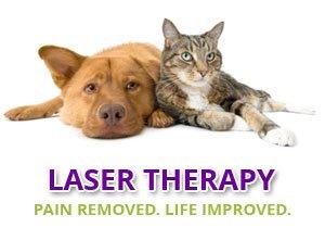 We offer cold laser therapy.