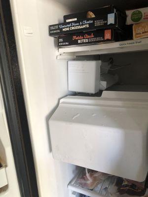 Installed new freezer