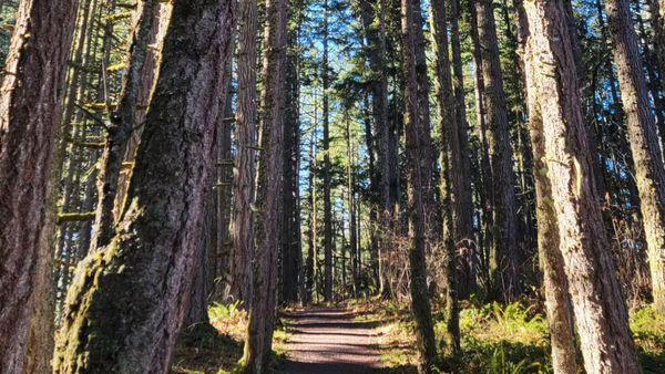 Ridgeline Trails