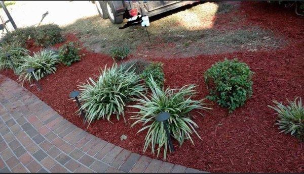 Mulching Walkway