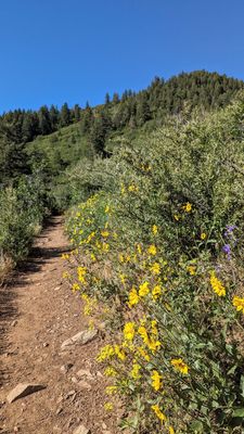 Meadowlark Plymouth Creek and Plymouth Mountain Trail Loop | Instagram: @telephonesmoothie