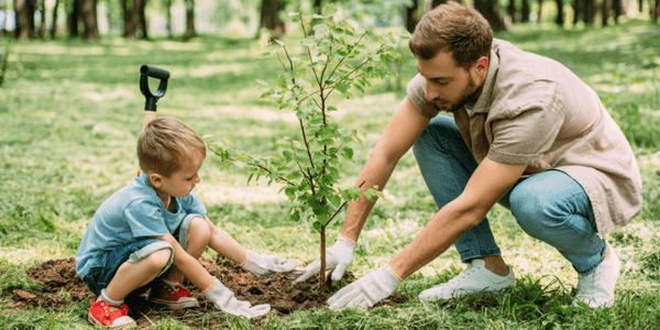 Principles Lawn Services