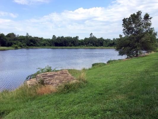 Lake View from the Path