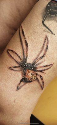 Spider tattoo