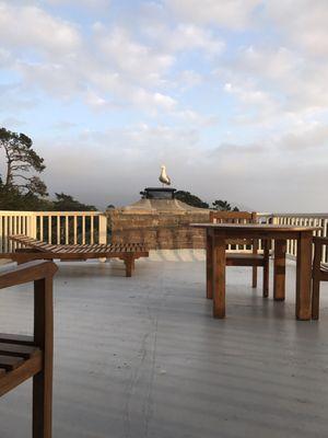 Our gorgeous deck and a cute seagull :-)