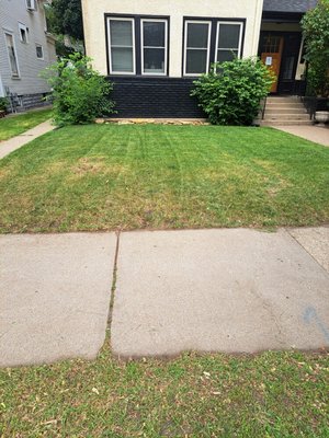 Cutting grass