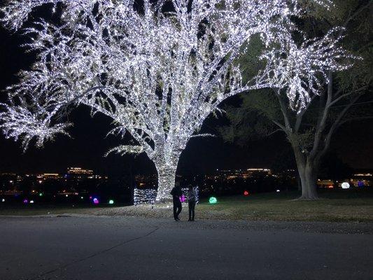 Beautiful at night for the holidays