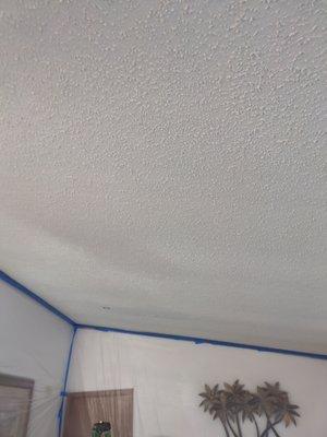 Going to scrape off textured ceiling and make smooth