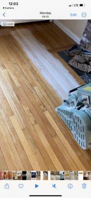 Hardwood sanding and refinishing