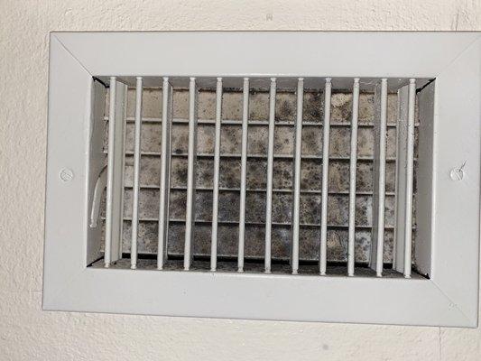 Mold in the vents