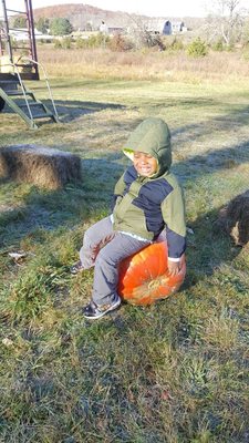 Pumpkin picking day