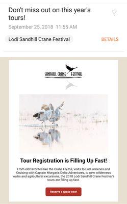 Sandhill Crane Festival