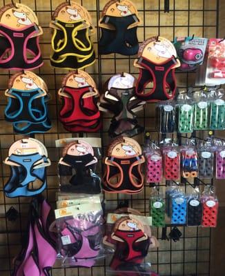 We've got you covered for all of your dog walking needs.