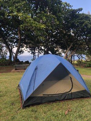 Camping set up on black sand beach!