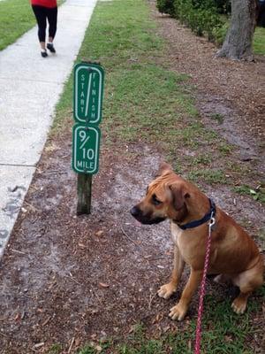 Square running or walking trail. Mile markers along the way. Only 9/10 of a mile around the park. No doggie bags.