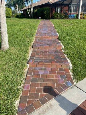 Paver Stairway done with the finest cuts and preciseness installation.