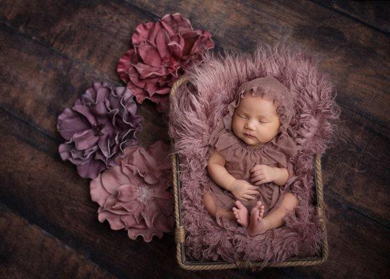 Newborn Photo Session in Hendersonville NC