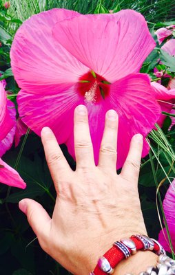 Huge flowers