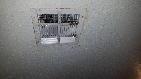 Moldy and dripping air vents