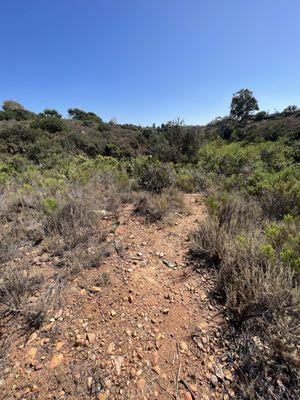 Navajo Canyon Open Space