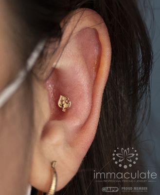 Beautiful conch piercing with 14k Leaf topper.