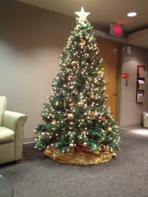 Waiting room Christmas Tree!