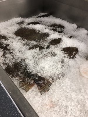 Whole flounder