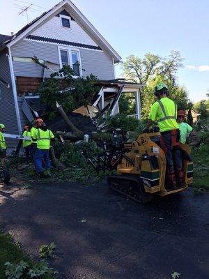 Skyline Tree Service