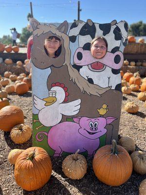 Kids having fun on the farm