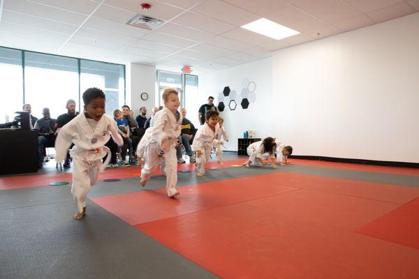 Vertical Taekwondo Lee's Summit
-Looking for Karate, Taekwondo or Martial Arts Fun? Check us Out!