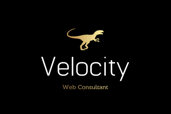 Velocity Web Consultant