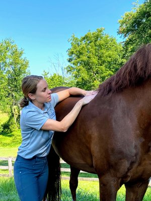 Affinity Equine Bodywork