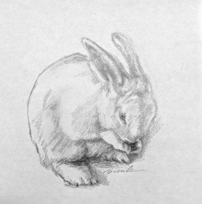 Drawing by Bronle Crosby. Bronle teaches Beginning Drawing and Advanced Drawing.