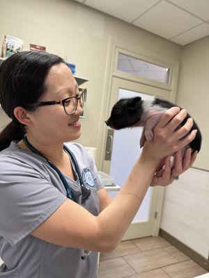 Dr. Morvai with a piglet.