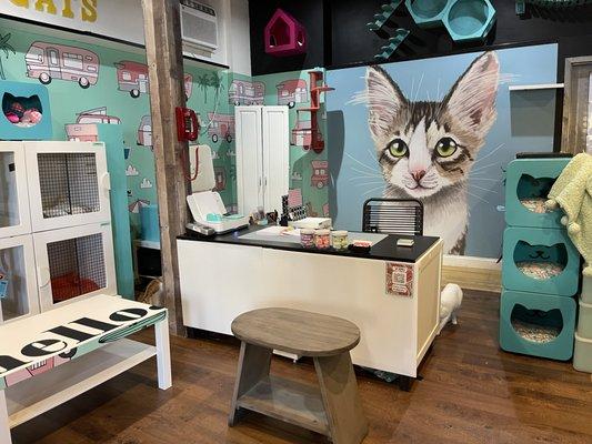 SoHoCats Luxury Feline Hotel